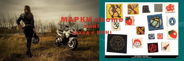 крисы Алзамай