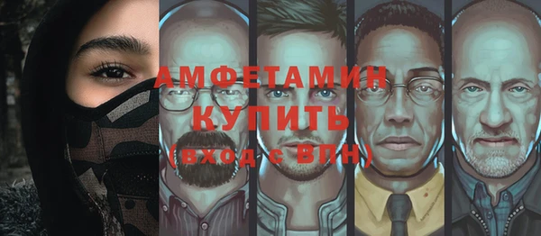 шишки Алексин