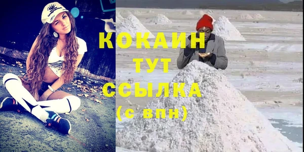 крисы Алзамай