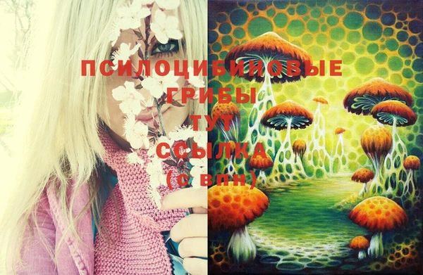 крисы Алзамай