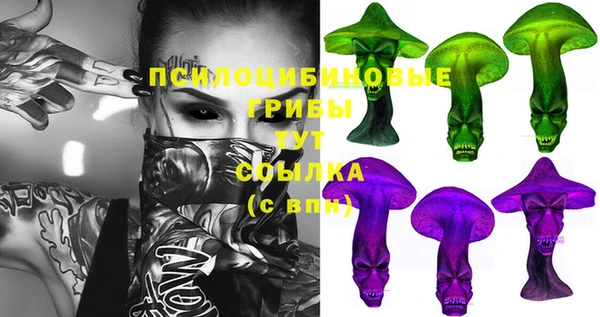 крисы Алзамай