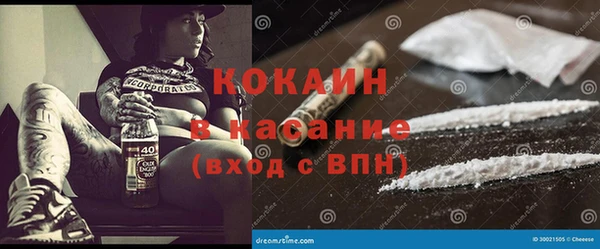 крисы Алзамай