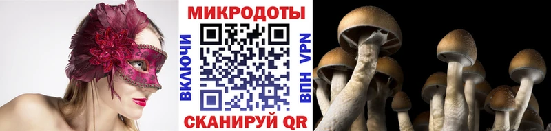 Псилоцибиновые грибы Magic Shrooms  Себеж 